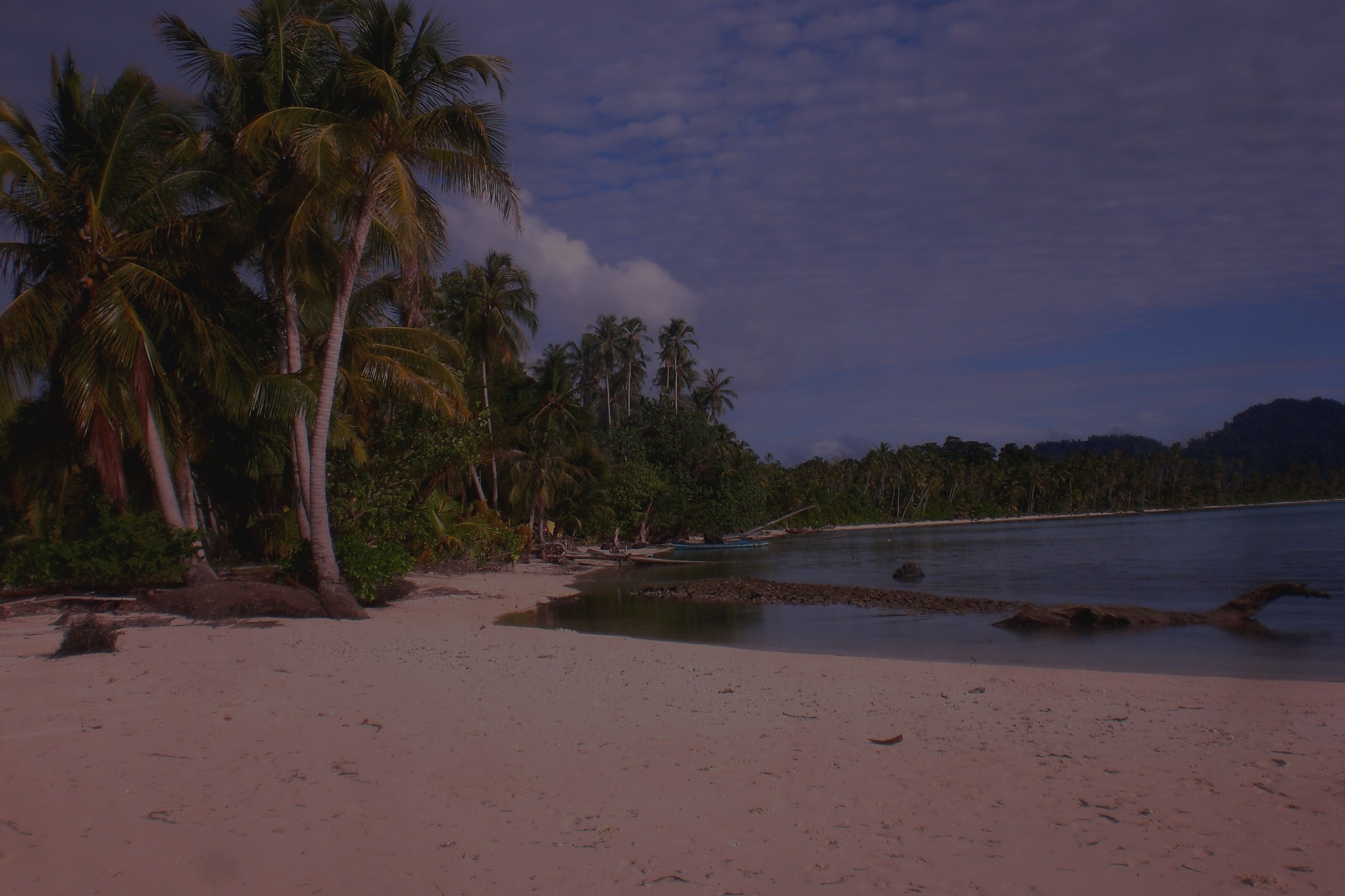 Pulau XXX